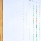 Study Dashboard